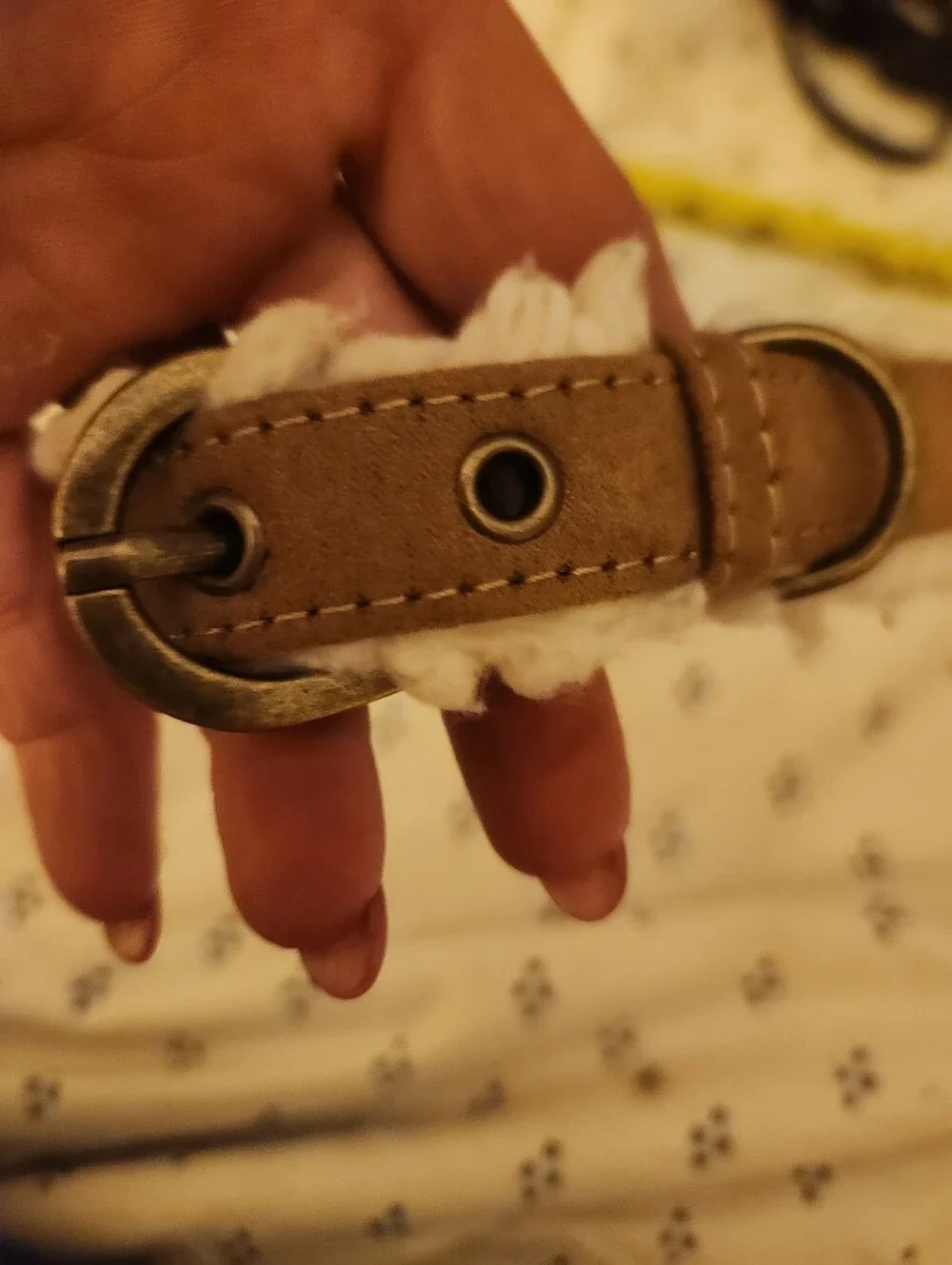 Koolaburra chestnut suede shearling dog collar. Small never worn.